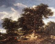 RUISDAEL, Jacob Isaackszon van The Great Oak af oil painting reproduction
